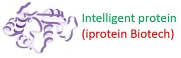 Iprotein Biotech